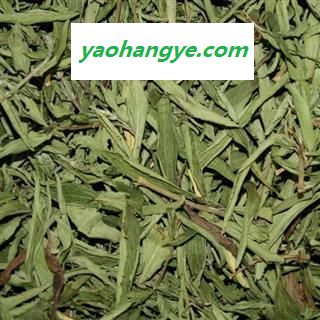 甜叶菊 甜菊叶 药用甜叶菊 茶用 正品 优质 无污染 精选 优惠图1