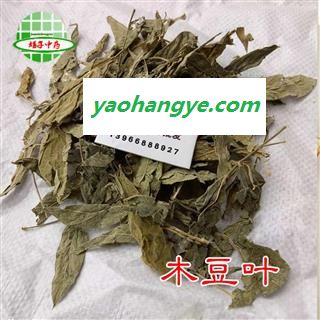 木豆叶 正品 木豆叶 产地 贵州省 买好药找娟子图1