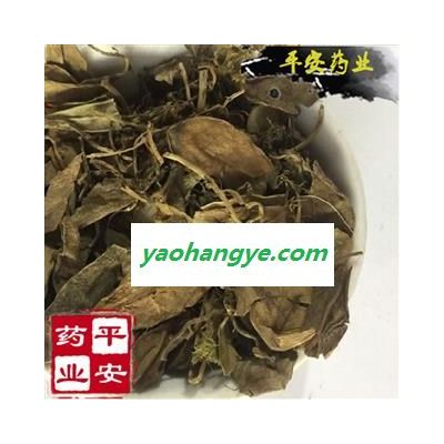 抱石莲 正品 别称 风不动 鱼鳖草 金丝鱼鳖 山豆爿草 抱树莲 鱼鳖金星 瓜子菜 金星草