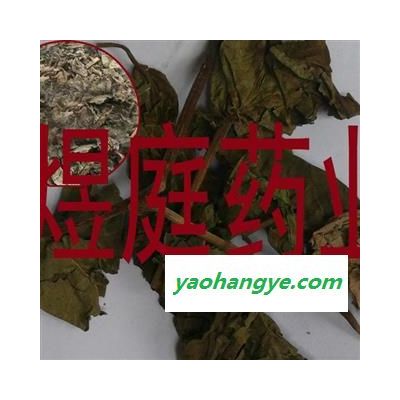 煜庭药业 臭梧桐叶 正品