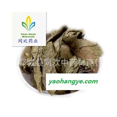 【杜仲叶】@【同欢药材】中药材批发供应  规格齐全 量大从优 产地 四川省