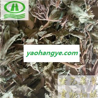 世元药业 甜菊叶 药用甜叶菊 另有茶饮一级图1