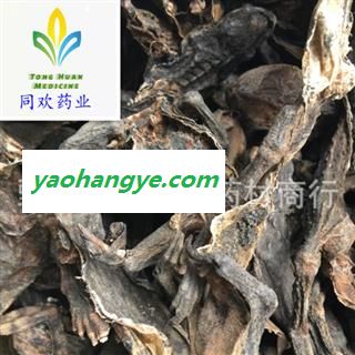 【干蟾蜍  蟾皮】@【同欢药材】中药材批发供应  规格齐全 量大从优  产地 山东省图1