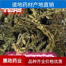 批零养生中药材大叶千层塔小叶千层塔蛇交子毛青杠虱子草特惠散装图3